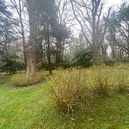 & Bois De Cise Maison Individuelle Avec Grand Jardin *